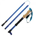 Treková hůl Highlander Lite Blue