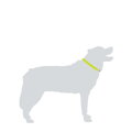 Obojek Mountain Paws Dog Collar L