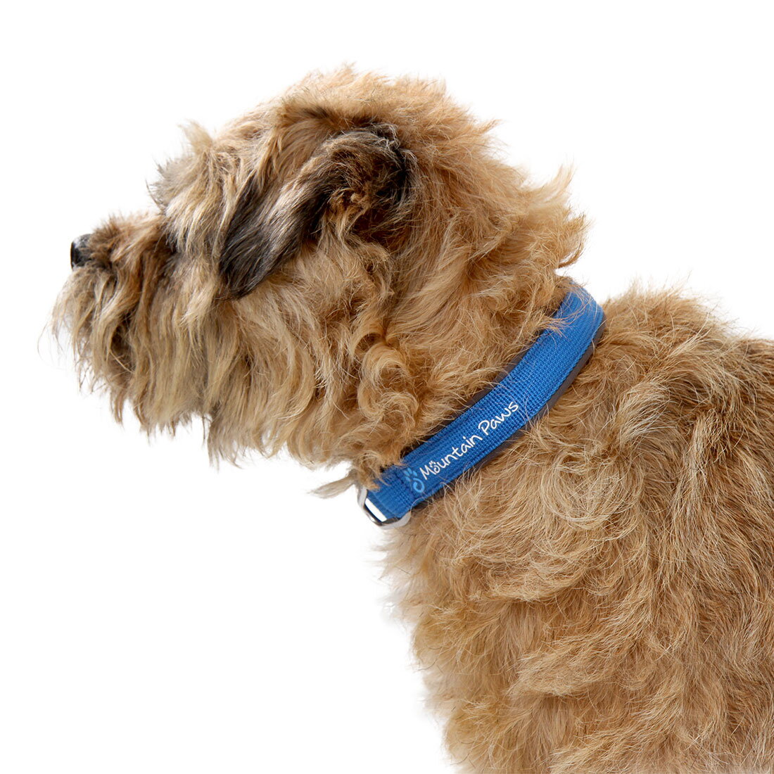 Mountain paws dog collar top